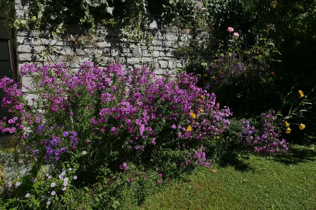 בית נופש הוילה Perledo La Casa Degli Oleandri